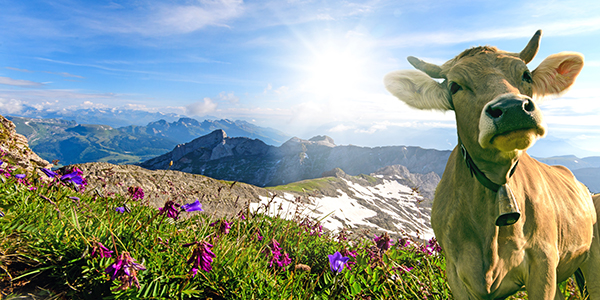 Swiss countryside