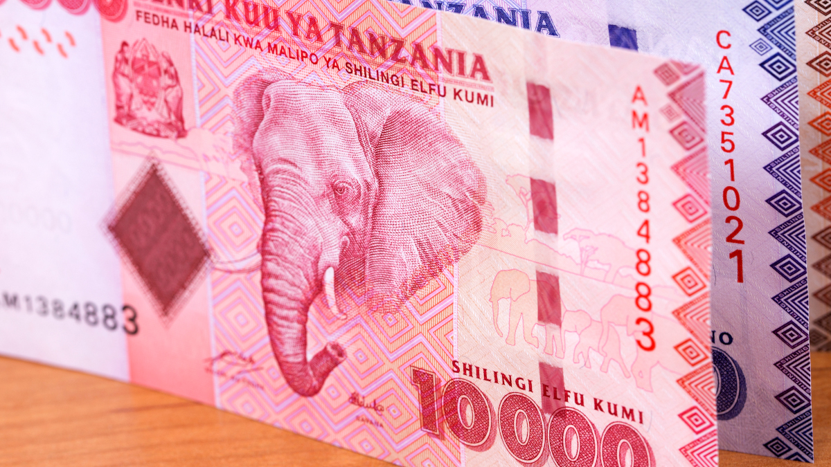 Tanzanian money a business background